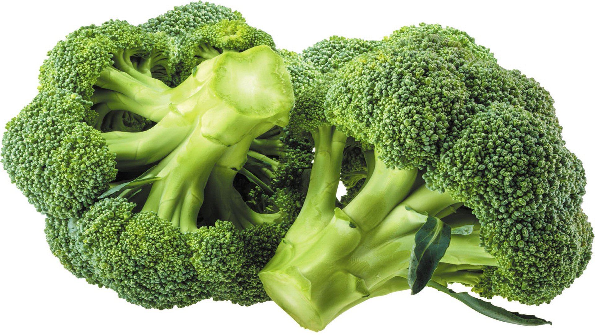 Broccoli